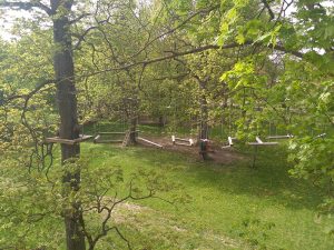 Веревочный парк от Alp-proekt.by